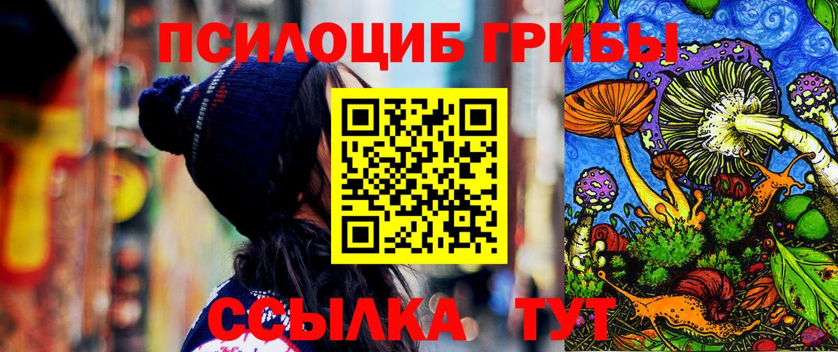 Десногорск  Псилоцибиновые грибы Cubensis  сколько стоит  Вход с VPN 